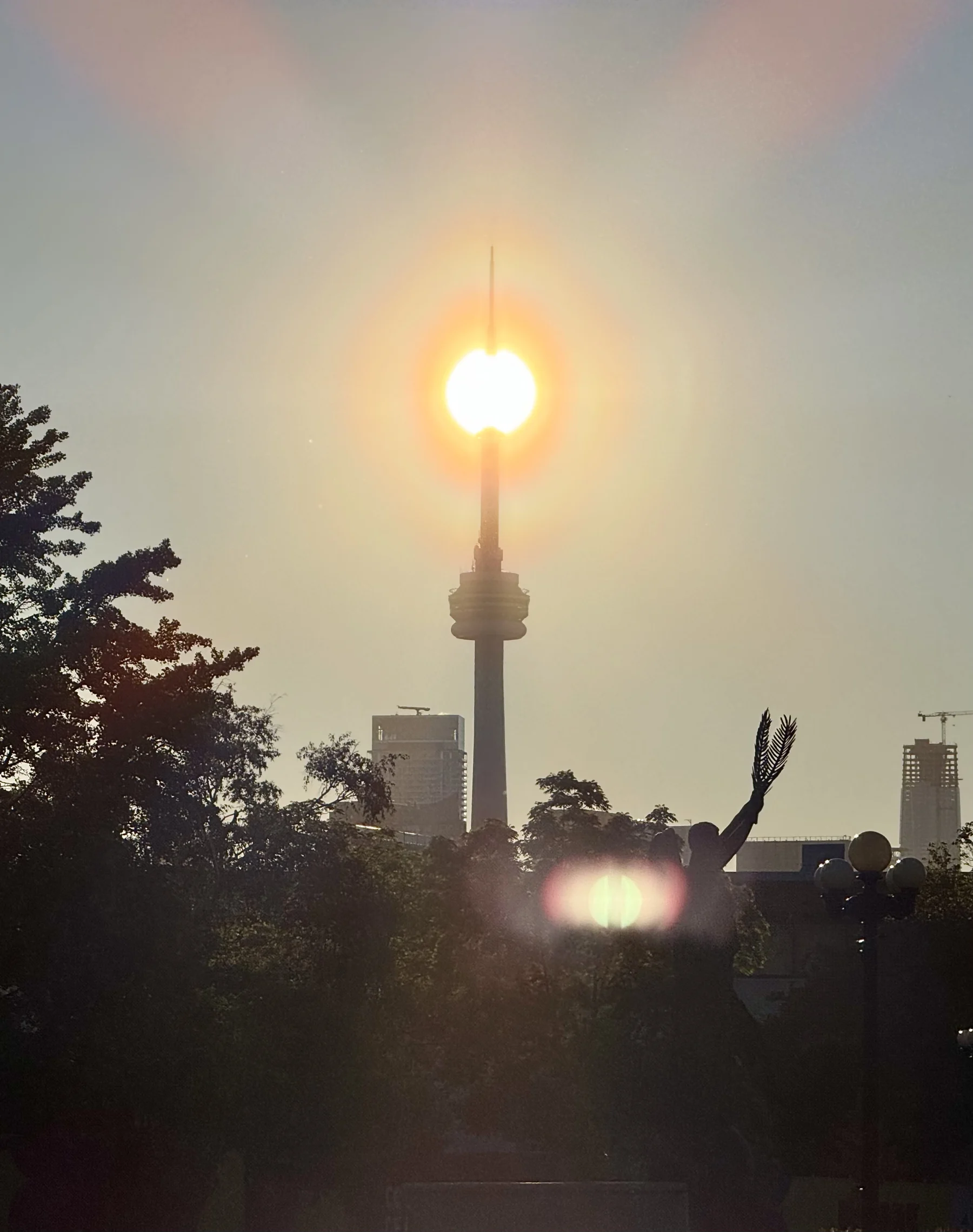 The morning sun sitting exactly on the tip of the CN Tower's spire, seen over trees